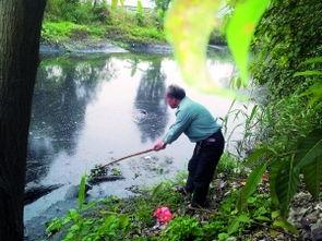 珠海平沙最新爆料,揭秘神秘项目背后的故事  第1张